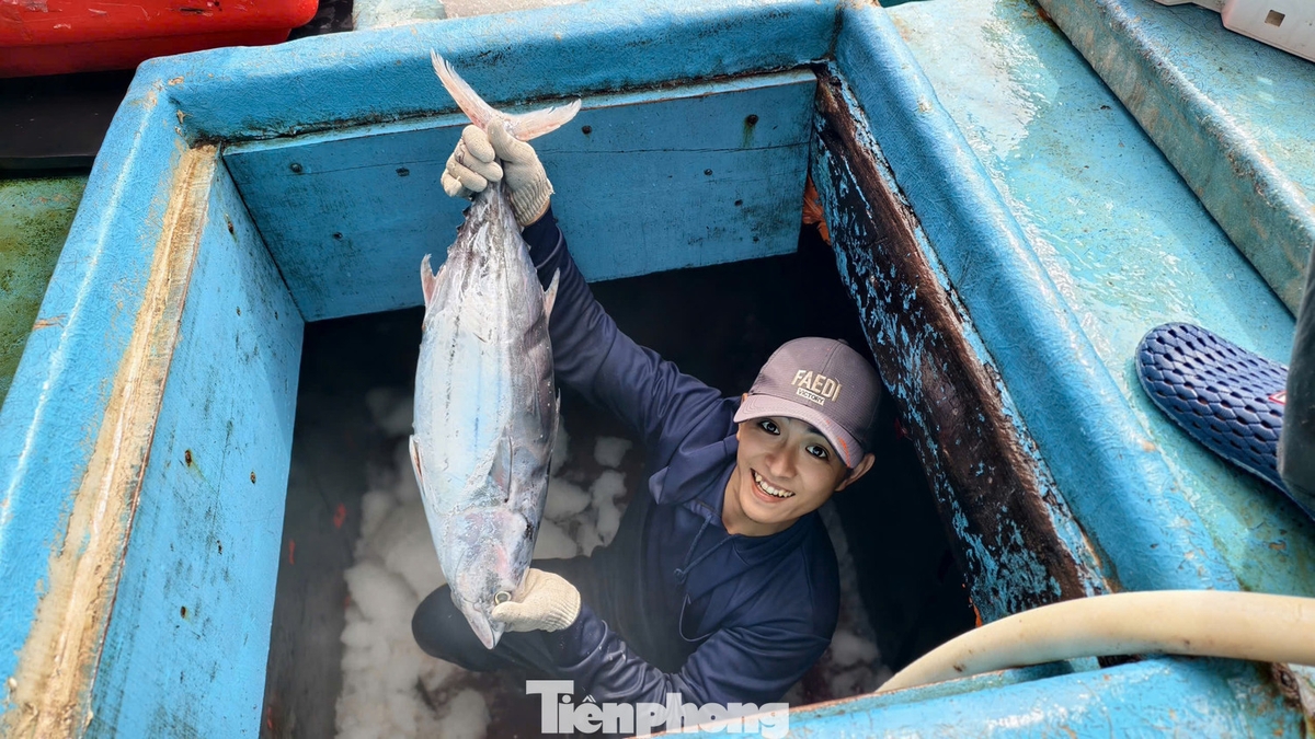 ទិដ្ឋភាព​ជិតៗ​របស់​អ្នកនេសាទ​នៅ​ខេត្ត​ក្វាងង៉ាយ កំពុង​បើក​អាង​នេសាទ​ត្រីធូណា​របស់​ពួកគេ​ ​ក្នុង​ពេល​មាន​ «ព្យុះ» នៃ​ការ​ឡើង​ថ្លៃ​ប្រេងឥន្ធនៈ។