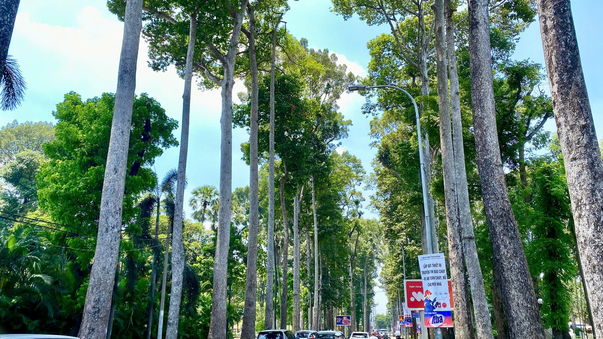 Das sind die Routen, die jeder inmitten der sengenden Hitze von Ho-Chi-Minh-Stadt nehmen möchte.