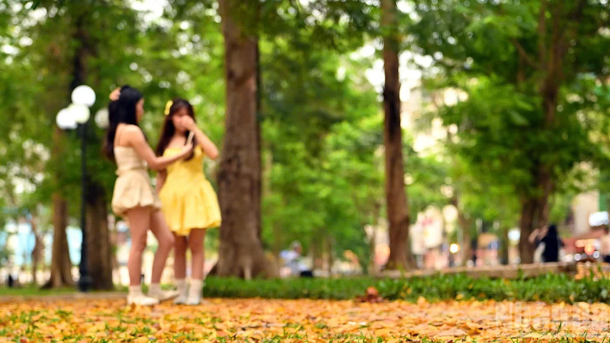 [Foto] Der Moment des Jahreszeitenwechsels im Thong Nhat Park