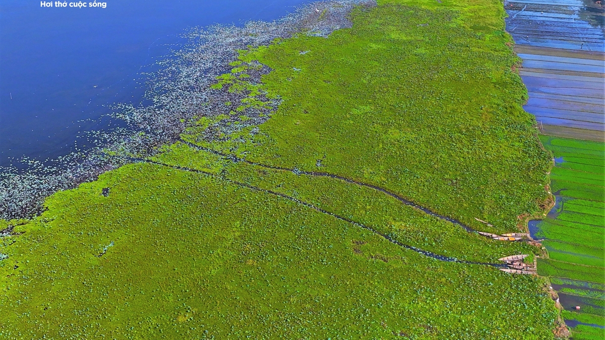 A close-up look at the picturesque Tra O Lagoon, spanning nearly 5,700 hectares in Gia Lai.