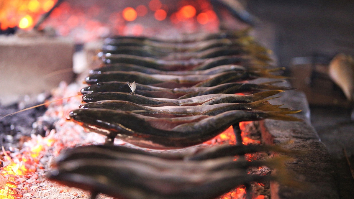 Herring goes viral on social media.
