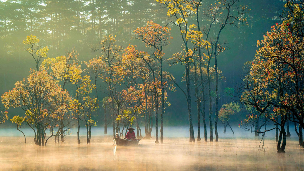 Vietnam ranks among the top 5 best destinations for female solo travelers.