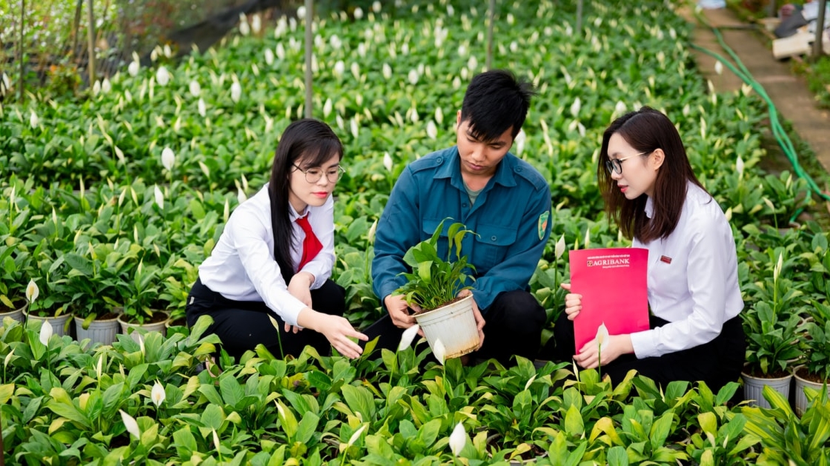 Agribank - a solid support for people and businesses.