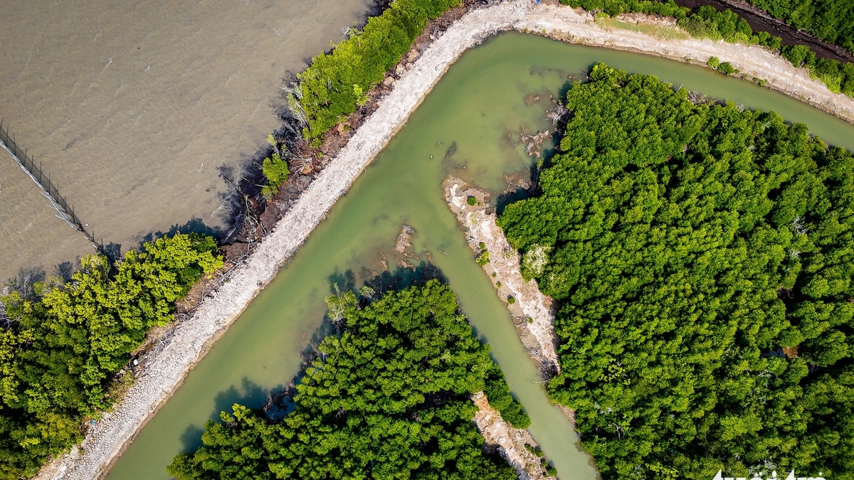 A drone over Phu Long islet offers a panoramic view of the construction site for the 50.2 trillion VND Cai Mep Ha container port.