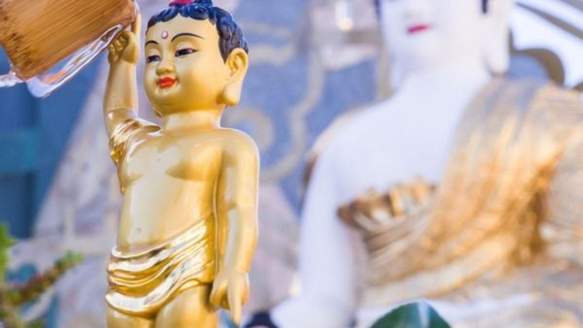 Settimana del compleanno di Buddha 2026