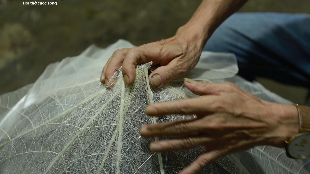 Observa cómo los artesanos de Hue transforman las hojas silvestres de Terminalia catappa en obras de arte, ganando millones de dongs.