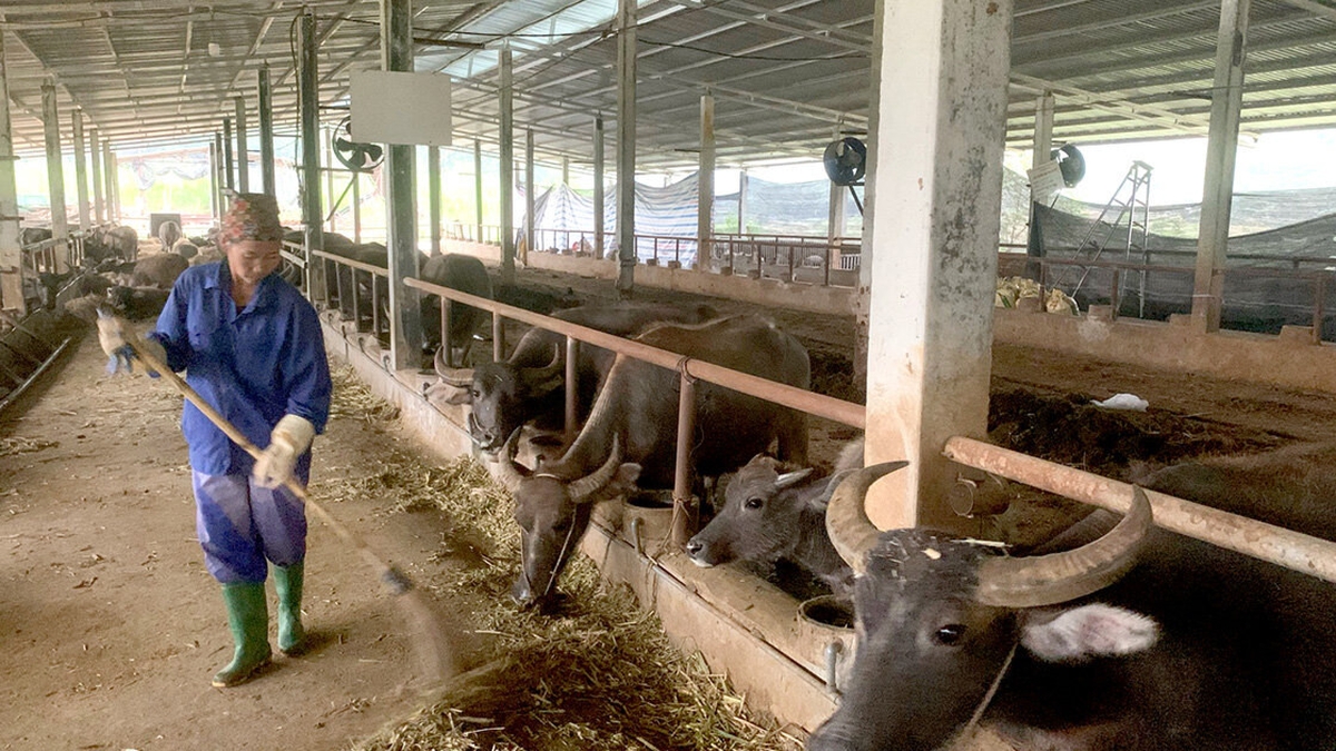 Agribank donne un nouvel élan aux petites et moyennes entreprises : Partie 1 : Ouvrir la voie à la croissance des entreprises.