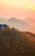 Vào mùa 'săn' cỏ lau ở Bình Liêu