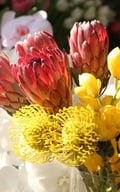 Hoa 'nhà giàu' mỗi bông giá 1 triệu đồng vẫn đắt khách dịp 20/10