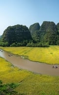Sắc vàng Tam Cốc