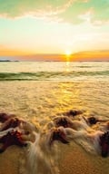 Trải nghiệm câu mực đêm và ngắm sao biển ở đảo ngọc Phú Quốc