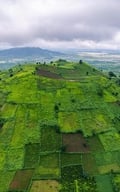Chiêm ngưỡng núi lửa Chư Đăng Ya triệu năm tuổi ở Gia Lai