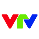 Đài truyền hình Việt Nam