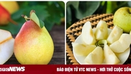 কাদের নাশপাতি খাওয়া সীমিত করা উচিত?