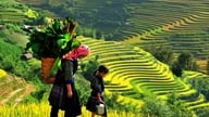 Thu về trên bản Cát Cát