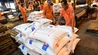 År 2023 spenderade Vietnam 1,41 miljarder dollar på att importera olika typer av gödningsmedel.
