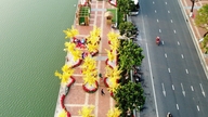 A rua das flores do Tet em Da Nang permanecerá aberta até o final do Festival das Lanternas.