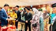 ไฮไลท์ของการแลกเปลี่ยนทางวัฒนธรรมระหว่างเวียดนามและบรูไนในปี 2024
