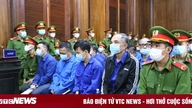 Saya baru menyadari bahwa saya adalah bagian dari jaringan kriminal yang canggih setelah menerima laporan investigasi.