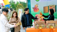 Chi Linh heeft 15 kraampjes gereserveerd voor de presentatie van OCOP-producten op de bloemenmarkt tijdens het Chinees Nieuwjaar in het jaar van de Slang (2015).