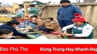 Daun pisang sedang musimnya menjelang Tet (Tahun Baru Imlek Vietnam).