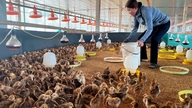 La province de Hai Duong a enregistré plus de 5 000 nouveaux ménages d'agriculteurs performants en matière de production et de commerce.