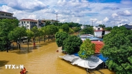 Rupere de urgență a digului la Ha Chau, ca răspuns la inundațiile de pe râul Cau din Thai Nguyen.