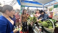 Утвердить и выпустить Схему защиты прав потребителей.