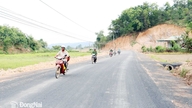 Providing over 7 million tons of cement for rural development projects.