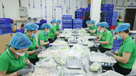 Ông Phùng Đức Định - Người đưa thương hiệu nấm Phùng Gia vươn tầm OCOP 4 sao