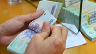 Το σμήνος των γερανών στον ιδιωτικό τομέα: Οι μεγάλοι ηγούνται των μικρών στην οικοδόμηση του έθνους.