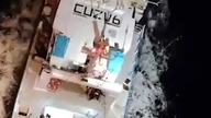 Bir balina sürüsü bir yata saldırdı ve batırdı.