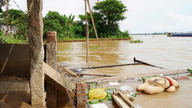 Dong Thap: The banks of the Tien River continue to erode, affecting 11 households.