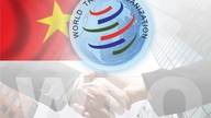Vietnam se účastní mechanismu WTO pro řešení sporů.