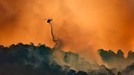 De CO2-concentratie heeft nieuwe recordhoogtes bereikt, wat leidt tot een toename van de opwarming van de aarde.