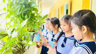Implementazione dei criteri ASEAN per le scuole ecologiche a Hue