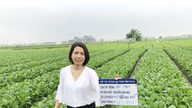 Die Ingenieurin Kieu Thi Hue hat eine Leidenschaft für die Produktion von umweltfreundlichem Gemüse.