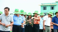 ThaiBinh-frø og klimatolerante rissorter