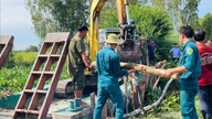 Tay Ninh naléhavě posiluje 23 hrází na ochranu zemědělské produkce.
