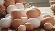 Comer ovos: Deve-se comer ou descartar a gema?