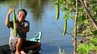 Mekongdeltaet