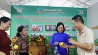 Dong Nai organiserar ceremonin för att tillkännage OCOP-produkter och en konferens för att sammankoppla konsumtionen av typiska jordbruksprodukter år 2025.