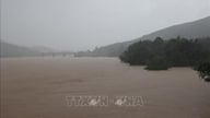 Demande aux centrales hydroélectriques du bassin fluvial Vu Gia - Thu Bon de réguler les niveaux d'eau afin de prévenir et de contrôler les inondations et les tempêtes.