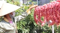 Das köstliche Tung Lo Mo-Gericht der Cham-Bevölkerung
