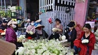 Lam Dongin maakunnan asukkaat lahjoittivat 16 tonnia vihanneksia ja riisiä tulvien uhreille Keski-Vietnamissa.