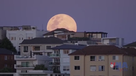 The world is immersed in the year's biggest supermoon.