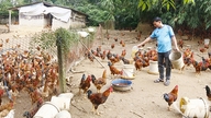 Quickly stabilize agricultural production.