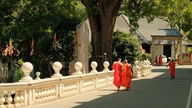 Vesak-sæsonbesøg i buddhistiske regioner i Sri Lanka