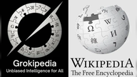 Bliver artikler på Google af milliardæren Elon Musk ofte kopieret direkte fra Wikipedia?