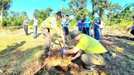 Khanh Hoa sází stromy u příležitosti 80. výročí odvětví zemědělství a životního prostředí.